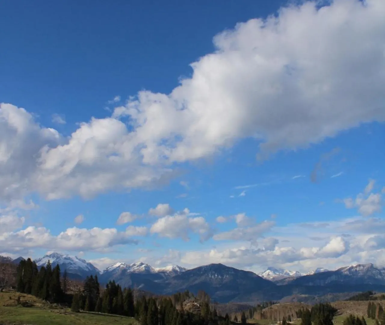 I Profumi Del Bosco Bed & Breakfast Enego