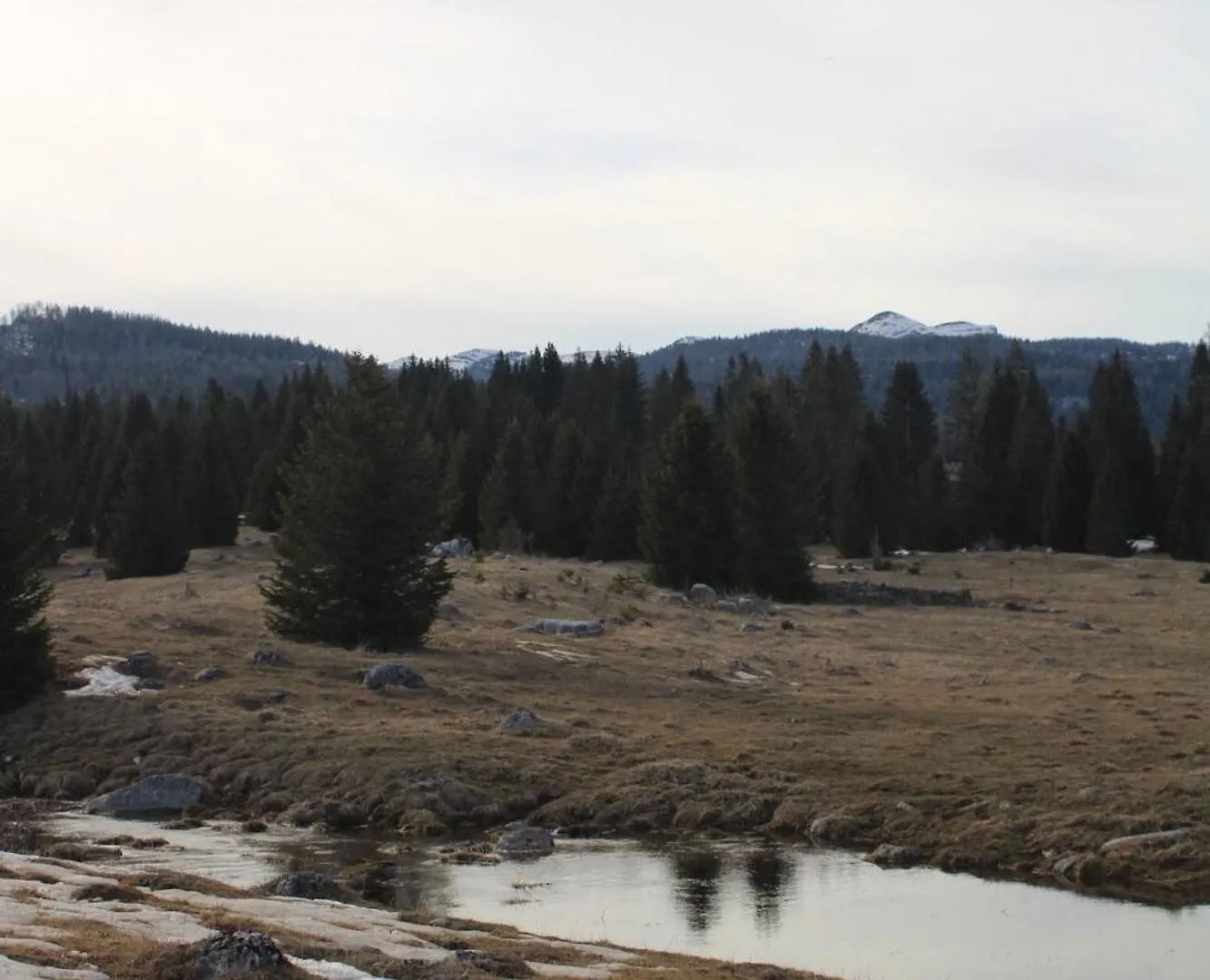 I Profumi Del Bosco Bed & Breakfast Enego