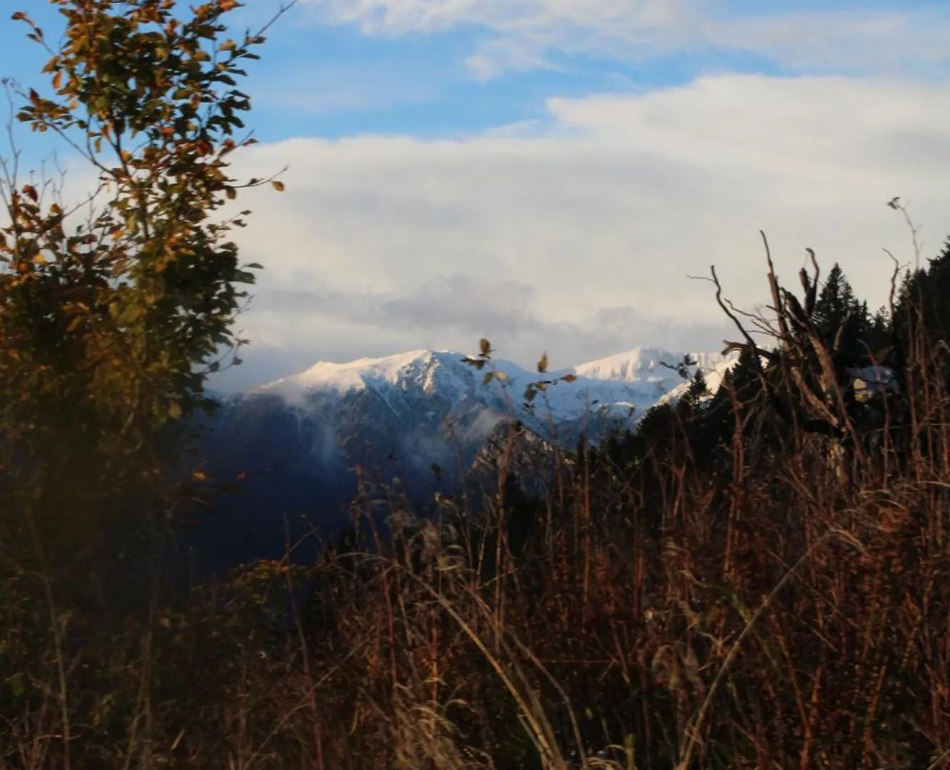 I Profumi Del Bosco Bed & Breakfast Enego Italy